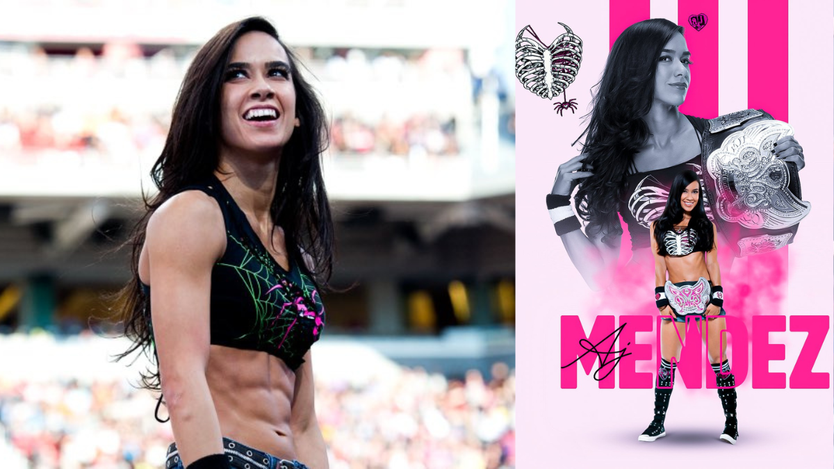 AJ Lee WWE return 2025 and fight with Beckey